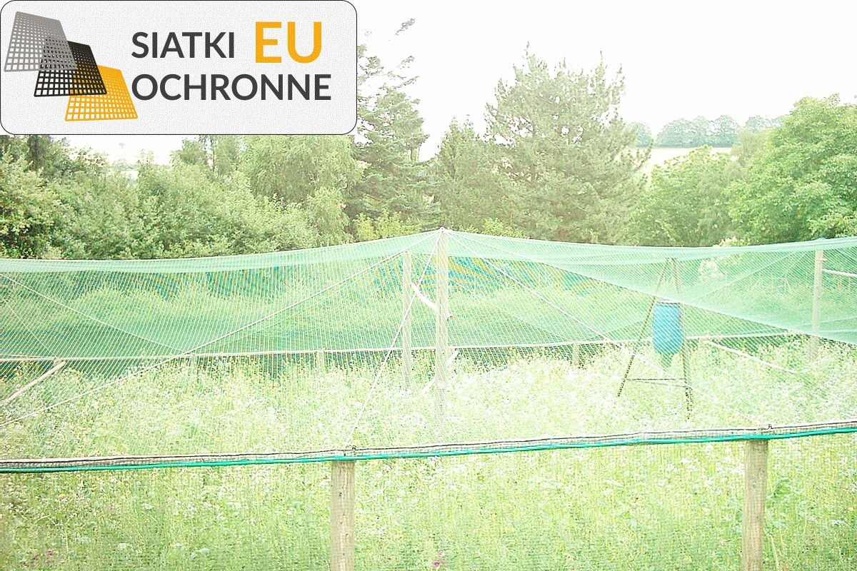 Siatka ochronna przeciwko ptakom i innym zwierzętom SiatkiOchronne.eu - Siatka ochronna przeciwko ptakom i innym zwierzętom