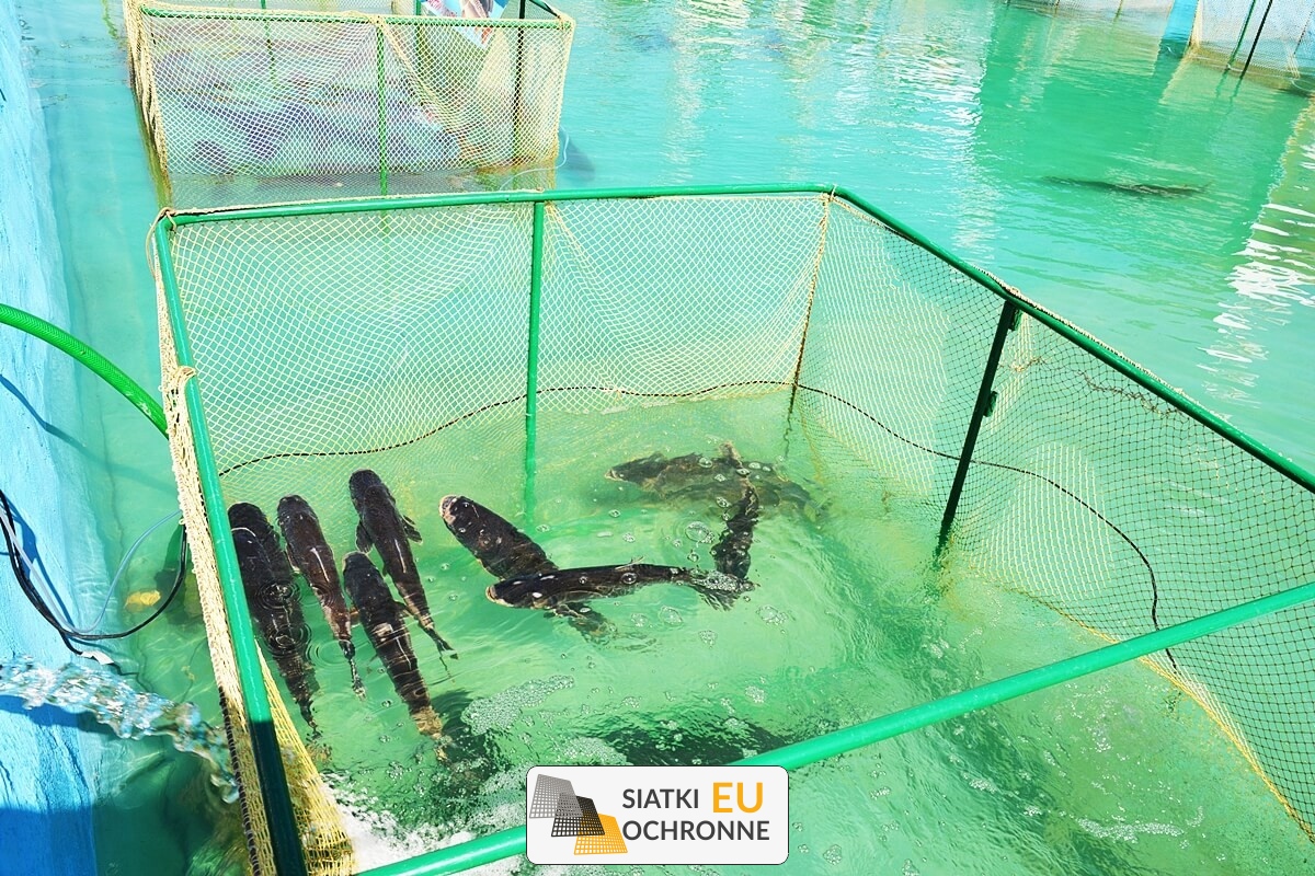   SiatkiOchronne.eu - Zabezpiecz swoją hodowlę za pomocą siatki ochronnej dla ptaków i zwierząt 