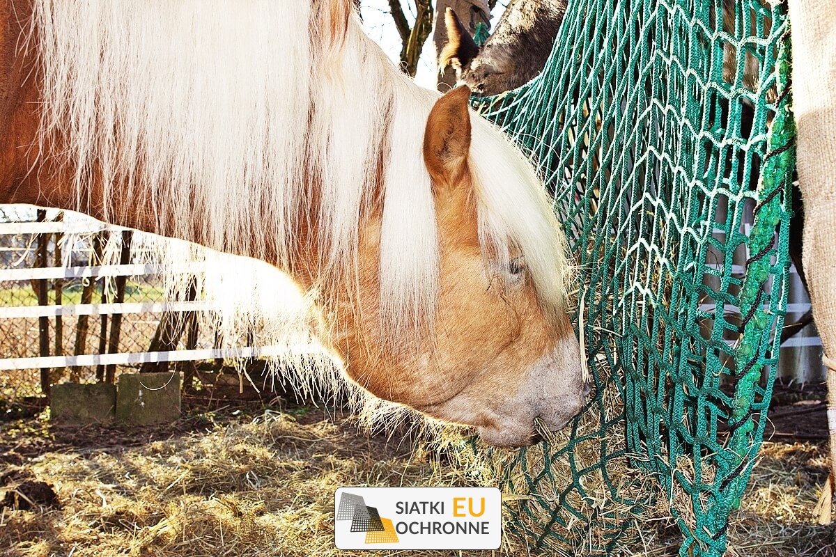   SiatkiOchronne.eu - Siatka hodowlana   Zabezpieczenie hodowli zwierząt i ptactwa siatką 