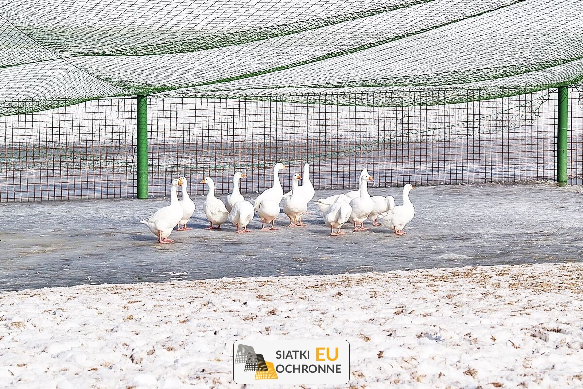   SiatkiOchronne.eu - Siatka na hodowle - polipropylen 