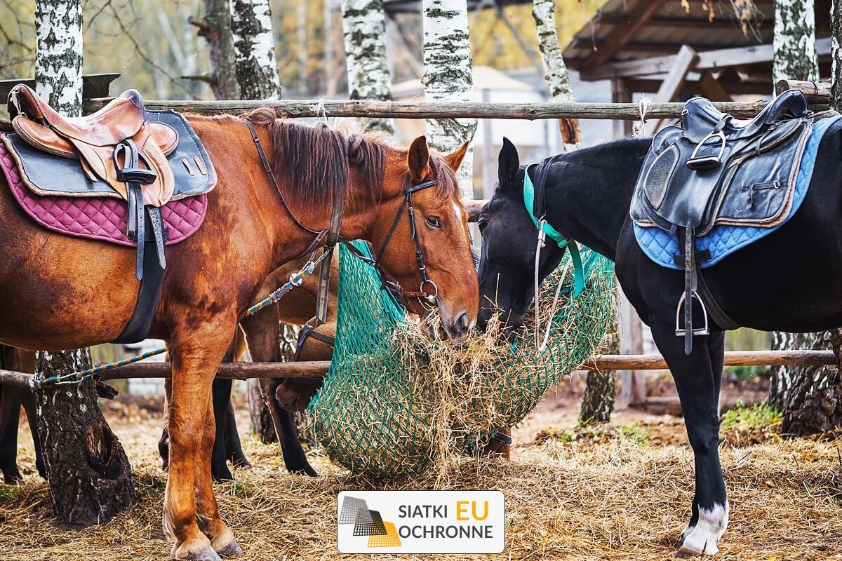   SiatkiOchronne.eu - Siatka do hodowli   Siatka do zabezpieczenia hodowli ptaków i zwierząt 