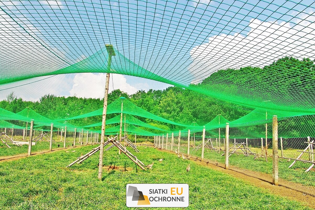   SiatkiOchronne.eu - Ochronna siatka do zabezpieczenia ptaków i innych zwierząt 