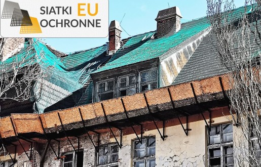 Siatka ochronna zapobiegająca kruszeniu się starych dachówek SiatkiOchronne.eu - Siatka ochronna zapobiegająca kruszeniu się starych dachówek
