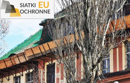 Oddzielaj dach bezpiecznie dzięki siatkom dekarskim SiatkiOchronne.eu - Oddzielaj dach bezpiecznie dzięki siatkom dekarskim