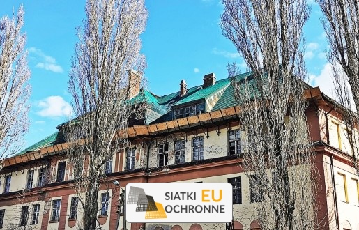 Siatka budowlana Zabezpieieczenie siatką prac budowlanych SiatkiOchronne.eu - Siatka budowlana Zabezpieieczenie siatką prac budowlanych