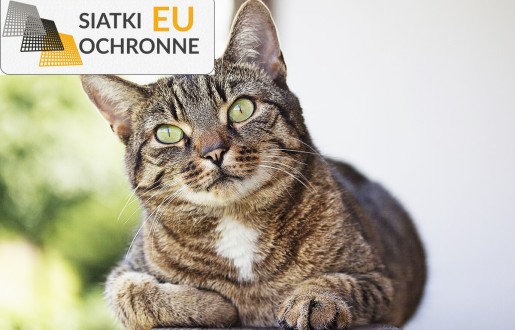 Ochronna siatka 4x4 2mm z tworzywa sztucznego PP, idealna do zabezpieczenia przed ptakami SiatkiOchronne.eu - Ochronna siatka 4x4 2mm z tworzywa sztucznego PP, idealna do zabezpieczenia przed ptakami