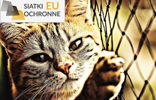 Bezpieczna siatka ochronna dla Twojego pupila SiatkiOchronne.eu - Bezpieczna siatka ochronna dla Twojego pupila