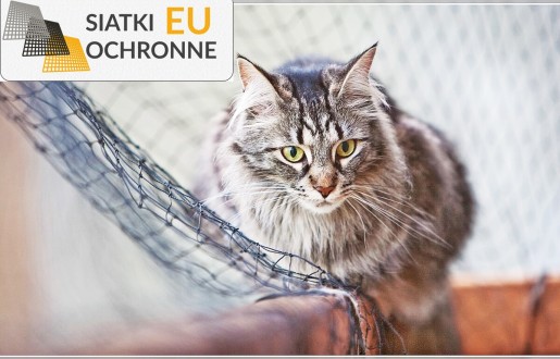 Bezpieczna siatka sznurkowa dla Twojego kotka SiatkiOchronne.eu - Bezpieczna siatka sznurkowa dla Twojego kotka