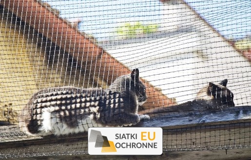   SiatkiOchronne.eu - Ochronna siatka do balustrad tarasowych i balkonowych 