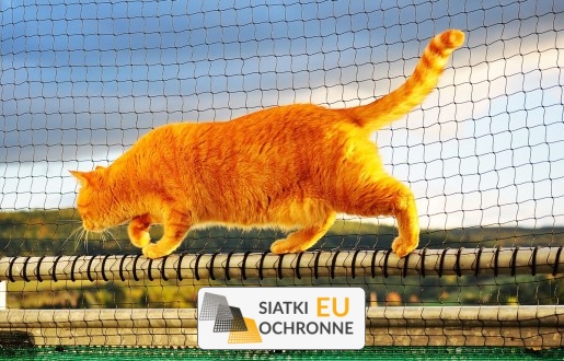 Ogrodzenie zabezpieczające do domu Siatka do ogrodzenia w domu SiatkiOchronne.eu - Ogrodzenie zabezpieczające do domu Siatka do ogrodzenia w domu