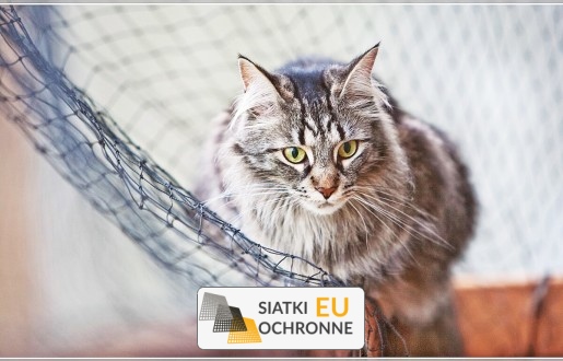   SiatkiOchronne.eu - Siatkowe Zabezpieczenie dla Kojców Maluchów 