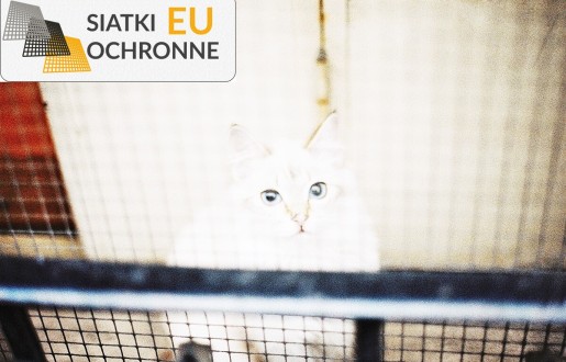 Zabezpieczająca siatka dla małych zwierzaków SiatkiOchronne.eu - Zabezpieczająca siatka dla małych zwierzaków