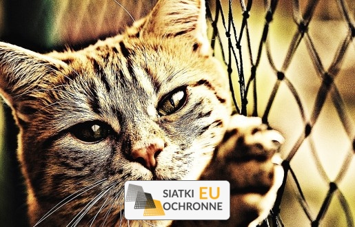 Bezpieczny w domu dzięki siatce ochronnej SiatkiOchronne.eu - Bezpieczny w domu dzięki siatce ochronnej