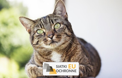   SiatkiOchronne.eu - Podwieszane siatki w formie półki: odkryj magię przechowywania w pokoiku dziecka   Półki z siatki 