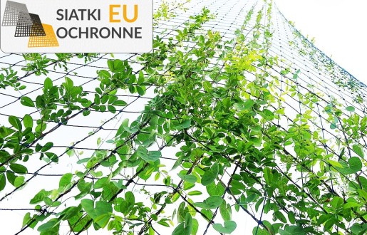 Zabezpieczenie grządek wysokich przed ptakami SiatkiOchronne.eu - Zabezpieczenie grządek wysokich przed ptakami