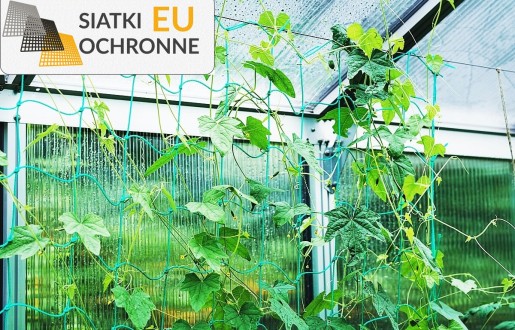 Miękka plastikowa siatka ochronna do zabezpieczenia sadzonki przed zwierzętami SiatkiOchronne.eu - Miękka plastikowa siatka ochronna do zabezpieczenia sadzonki przed zwierzętami