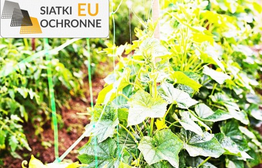 Barierki ochronne przeciwko dzikim zwierzętom SiatkiOchronne.eu - Barierki ochronne przeciwko dzikim zwierzętom