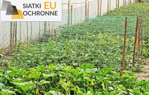Siatka ochronna na podwyższone grządki SiatkiOchronne.eu - Siatka ochronna na podwyższone grządki