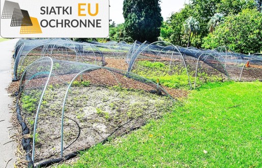 Siatki zabezpieczające dla roślin — ochrona przed zwierzętami SiatkiOchronne.eu - Siatki zabezpieczające dla roślin — ochrona przed zwierzętami