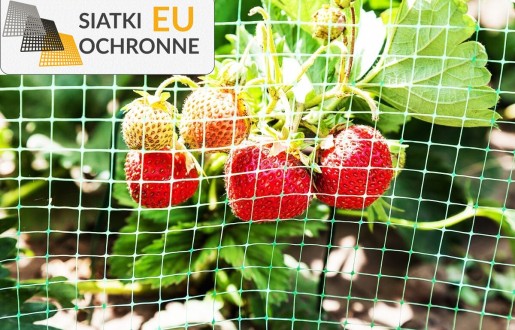 Ochrona dla Twoich upraw - praktyczna siatka zabezpieczająca grządki SiatkiOchronne.eu - Ochrona dla Twoich upraw - praktyczna siatka zabezpieczająca grządki