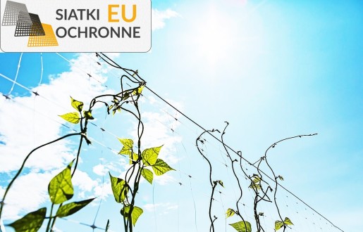 Chroń swoje kwiaty i grządki wytrzymałą siatką sznurkową SiatkiOchronne.eu - Chroń swoje kwiaty i grządki wytrzymałą siatką sznurkową