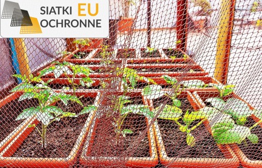 Siatka ochronna przed ptakami dla Twoich podwyższonych grządek SiatkiOchronne.eu - Siatka ochronna przed ptakami dla Twoich podwyższonych grządek