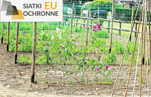 Solidna ochrona Twojego ogrodu - siatka bezpieczna SiatkiOchronne.eu - Solidna ochrona Twojego ogrodu - siatka bezpieczna