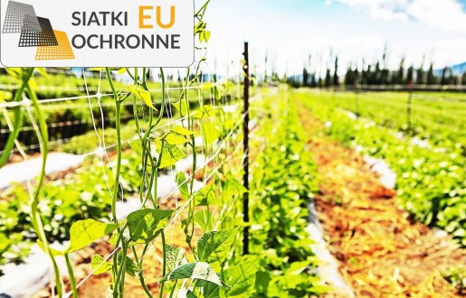 Ekonomiczna siatka sznurkowa — doskonała do Twojego ogrodu SiatkiOchronne.eu - Ekonomiczna siatka sznurkowa — doskonała do Twojego ogrodu