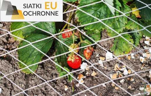 Wytrzymała i trwała siatka idealna do tworzenia podwyższenia na domowej działce SiatkiOchronne.eu - Wytrzymała i trwała siatka idealna do tworzenia podwyższenia na domowej działce