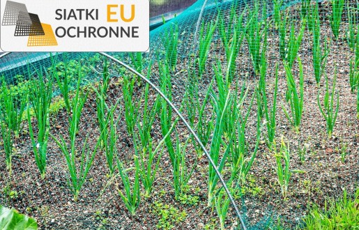   SiatkiOchronne.eu - Prosta i funkcjonalna siatka na sznurek do ochrony roślin w Twoim ogrodzie 