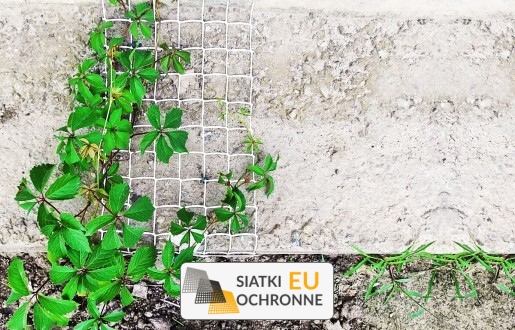  SiatkiOchronne.eu - Ogrodzenie rabat 