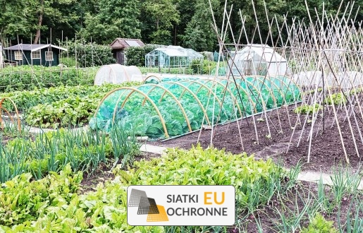  SiatkiOchronne.eu - Ogrodzenie grządek 