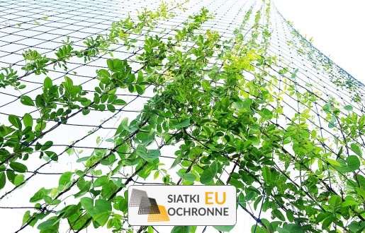  SiatkiOchronne.eu - Ogrodzenie grządek 