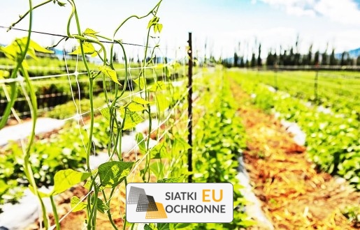  SiatkiOchronne.eu - Ogrodzenie grządek na działce - Ogrodzenie grządek z warzywami na działce - Ogrodzenie grządek z roślinami 