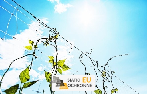 Rośliny pnące siatka na pnącza porastające ściany SiatkiOchronne.eu - Rośliny pnące siatka na pnącza porastające ściany