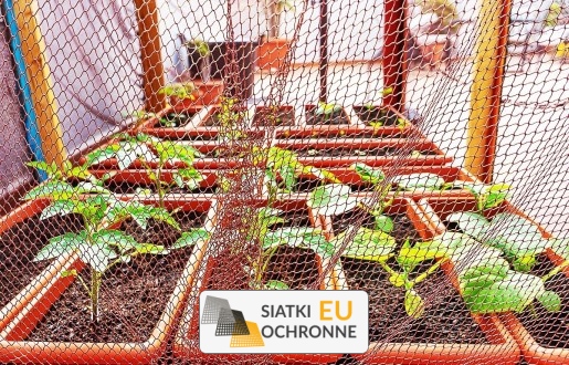 Siatka ochronna zapobiegająca dostępowi kotów do rabat SiatkiOchronne.eu - Siatka ochronna zapobiegająca dostępowi kotów do rabat