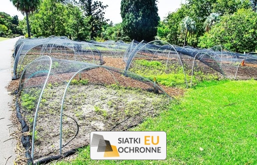   SiatkiOchronne.eu - Siatka zabezpieczająca do kwiatów: łączymy ochronę z estetyką dla Twojego zielonego zakątka 