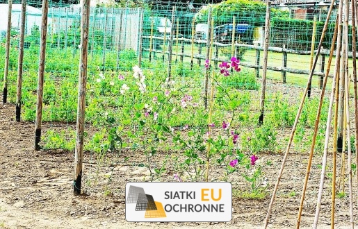   SiatkiOchronne.eu - Uniwersalna siatka ochronna na rośliny z małym oczkiem na każdą porę roku 