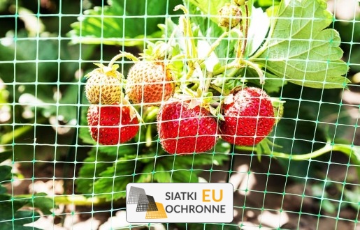   SiatkiOchronne.eu - Elegancka siatka sznurkowa — skuteczna ochrona dla Twoich roślin 
