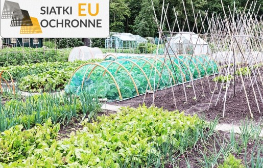 Funkcjonalna i estetyczna siatka ochronna do podwyższonych grządek SiatkiOchronne.eu - Funkcjonalna i estetyczna siatka ochronna do podwyższonych grządek