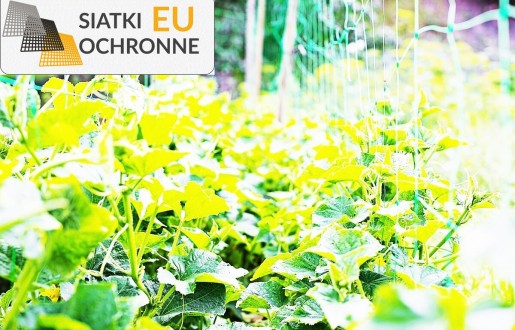 TANIA SIATKA — Skuteczna i niedroga ochrona Twoich roślin ogrodowych SiatkiOchronne.eu - TANIA SIATKA — Skuteczna i niedroga ochrona Twoich roślin ogrodowych