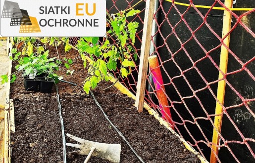 Ochronna siatka z polipropylenu dla Twoich grządek SiatkiOchronne.eu - Ochronna siatka z polipropylenu dla Twoich grządek