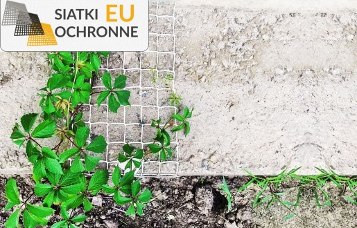 Siatka zabezpieczająca rośliny przed kotami SiatkiOchronne.eu - Siatka zabezpieczająca rośliny przed kotami