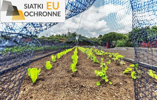 Siatka zabezpieczająca rośliny przed kotami SiatkiOchronne.eu - Siatka zabezpieczająca rośliny przed kotami