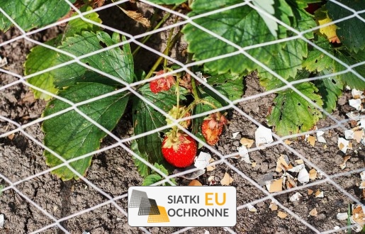   SiatkiOchronne.eu - Przykrycie grządek podwyszonych   Zabezpieczenie przed zwierzętami 