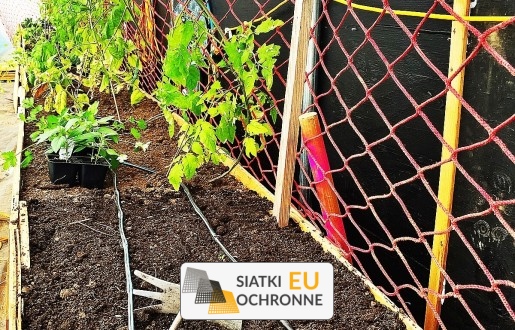   SiatkiOchronne.eu - Siatka ochronna zapobiegająca dostępowi kotów do rabat 