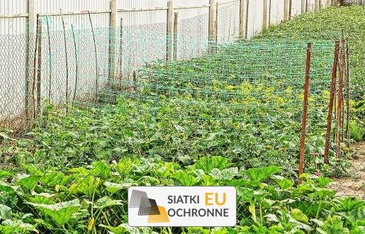   SiatkiOchronne.eu - Łatwa w instalacji i efektywna siatka do ochrony Twoich grządek 