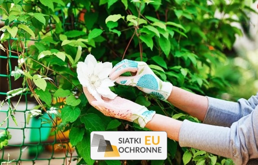   SiatkiOchronne.eu - Zabezpieczająca rośliny siatka przeciwko kotom 