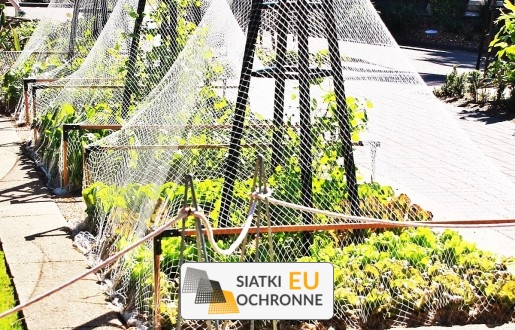   SiatkiOchronne.eu - Niezawodna siatka chroniąca Twoje rośliny 