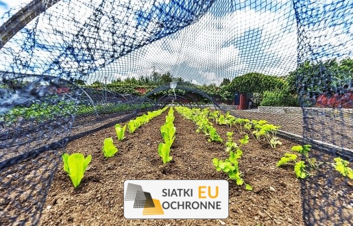  SiatkiOchronne.eu - Twoje grządki zasługują na najlepsze: ogrodzenie dla warzywnika   Siatka do ogrodzenia: skuteczna ochrona przed intruzami 
